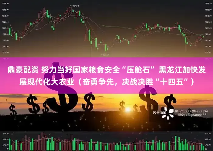 鼎豪配资 努力当好国家粮食安全“压舱石” 黑龙江加快发展现代化大农业（奋勇争先，决战决胜“十四五”）